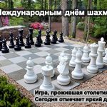 С Международным днём шахмат!
