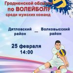 Чемпионат Гродненской области по волейболу среди мужских команд