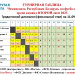 Чемпионат Республики Беларусь по футболу в Дятлово