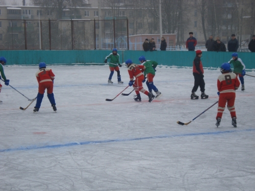 Районные соревнования по хоккею Золотая шайба 1993г.р. и младше 04.02.2009